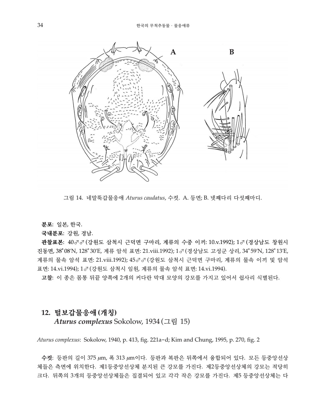 페이지