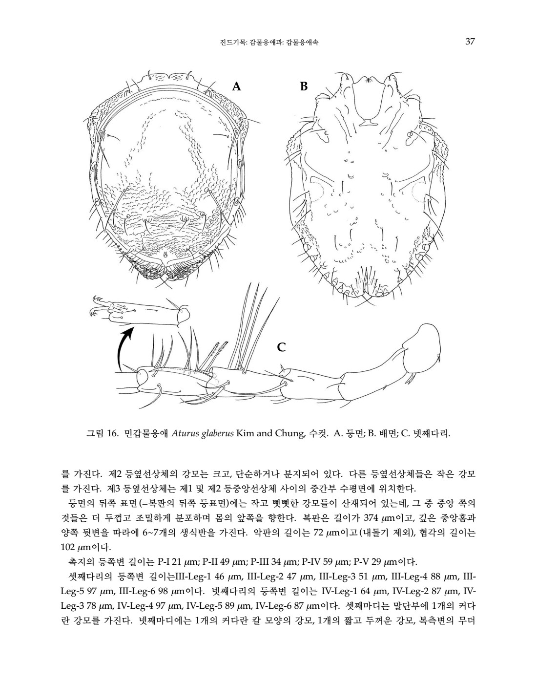 페이지
