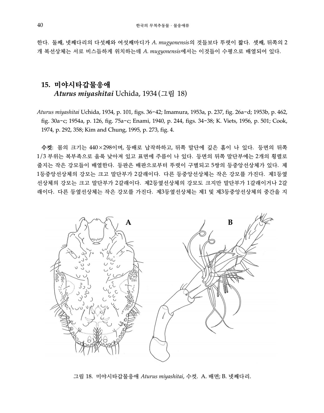 페이지