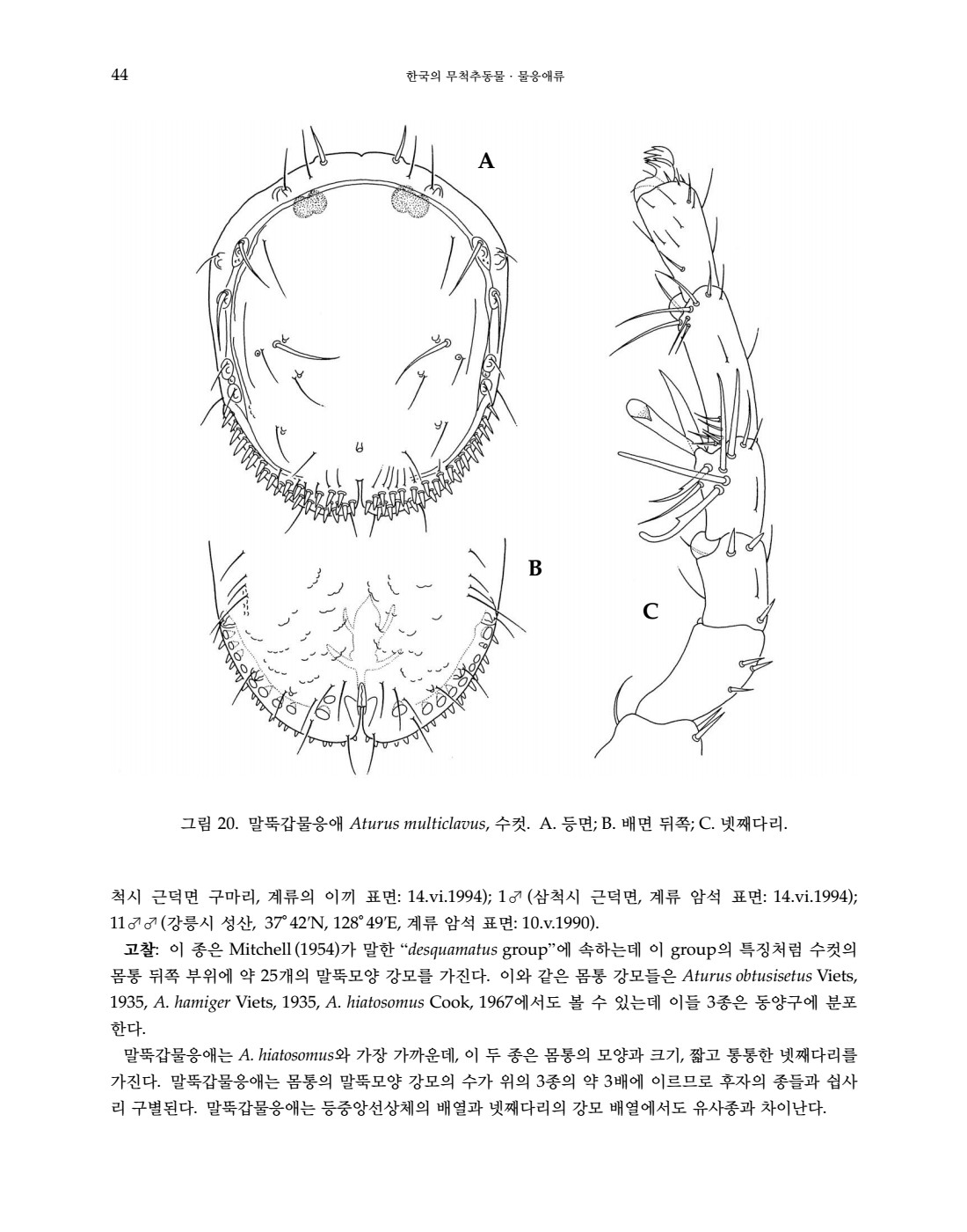 페이지