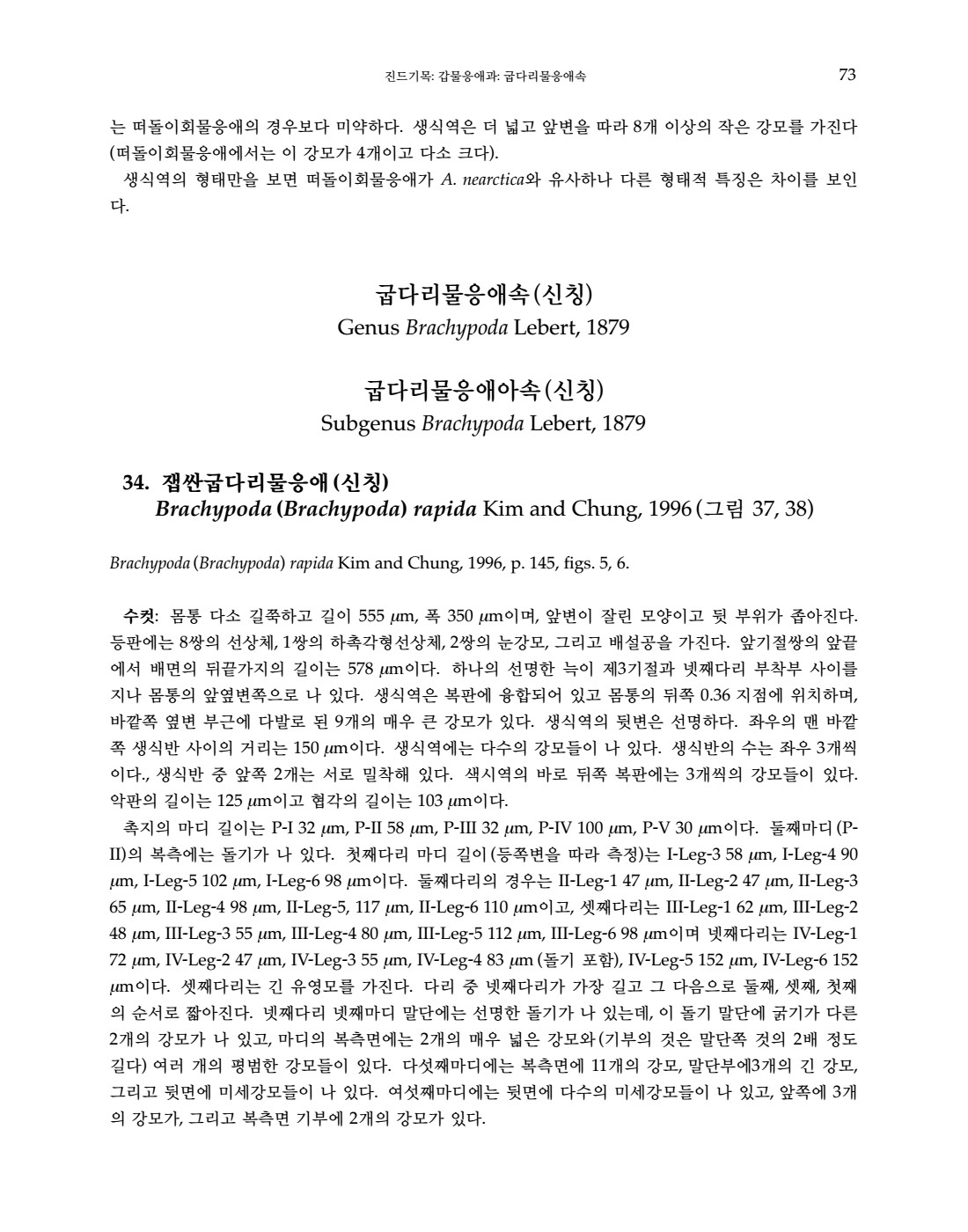 페이지