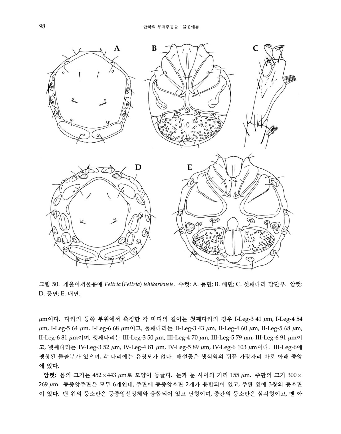 페이지