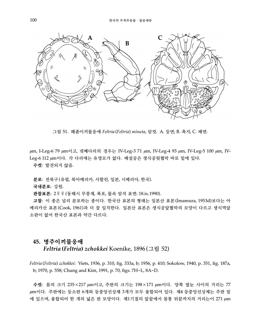 페이지