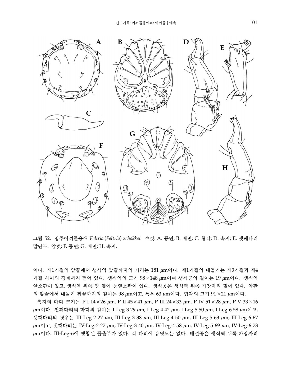 페이지
