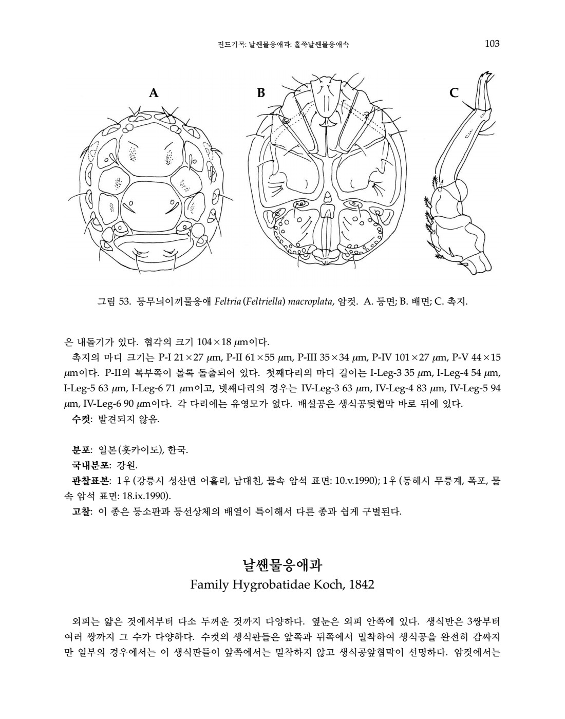 페이지