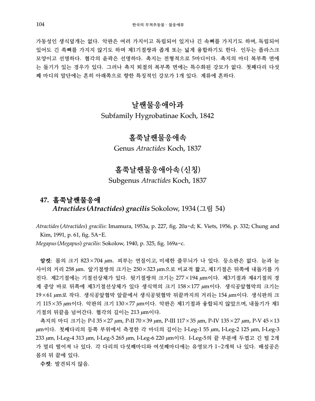 페이지