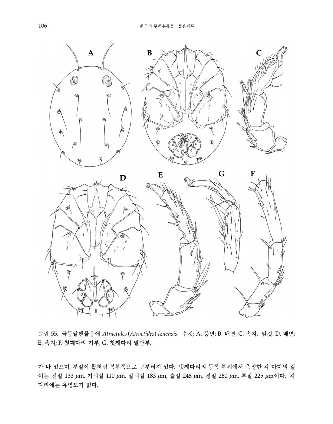 페이지