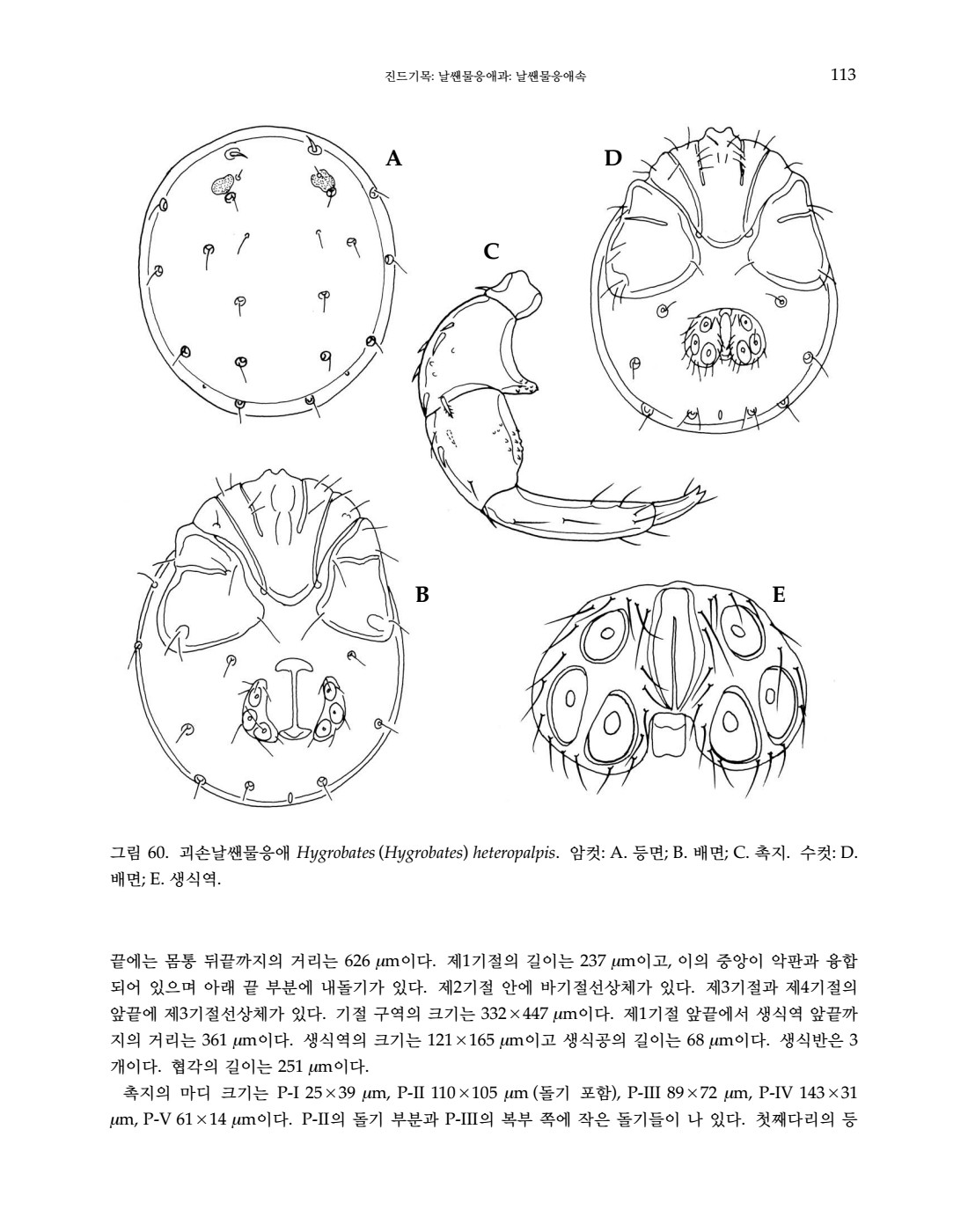 페이지