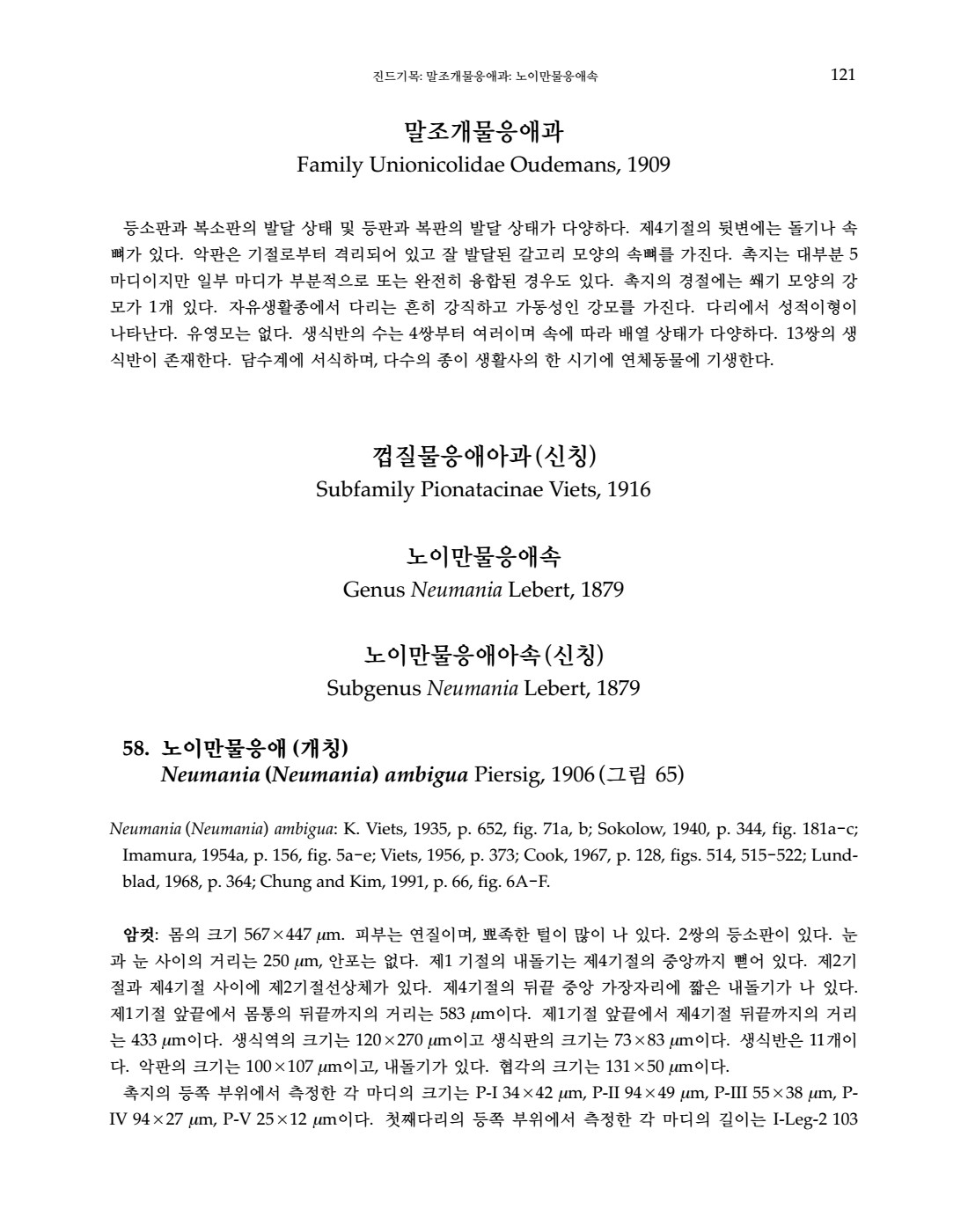 페이지