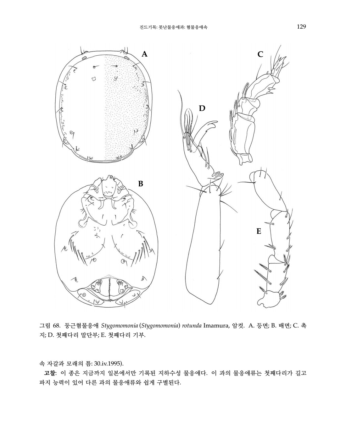 페이지