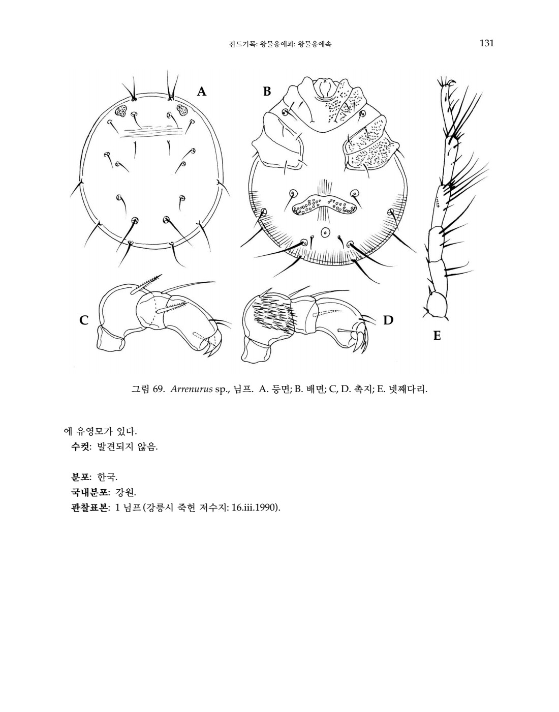 페이지