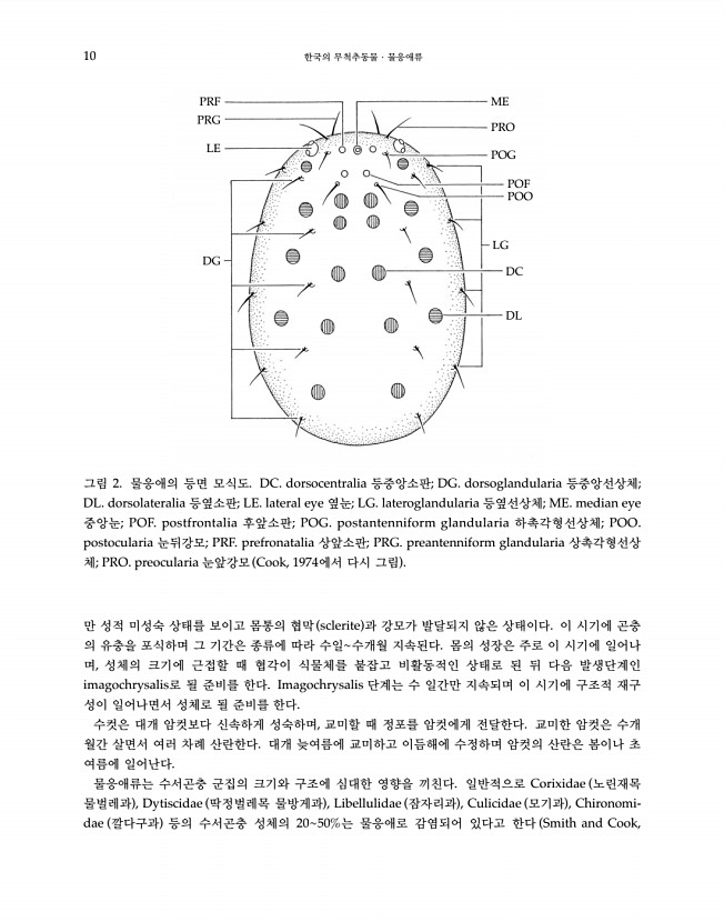 10페이지