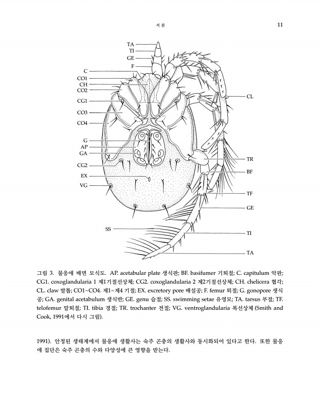 11페이지