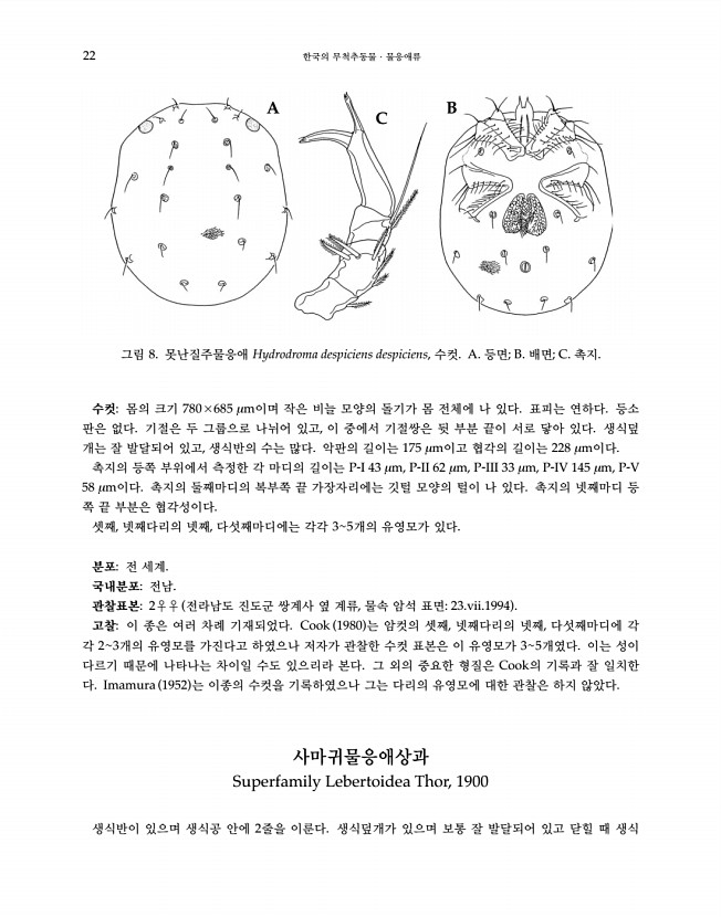 22페이지