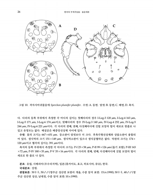 26페이지