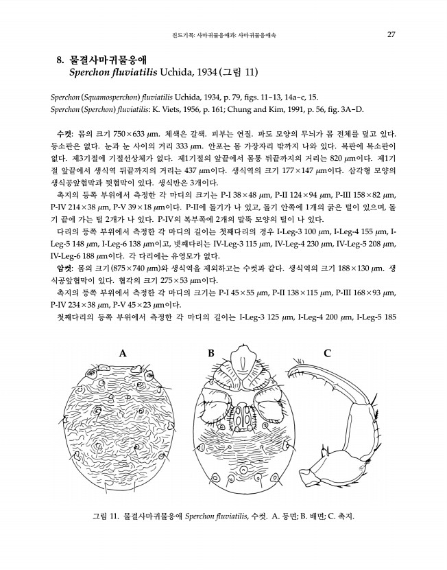 27페이지