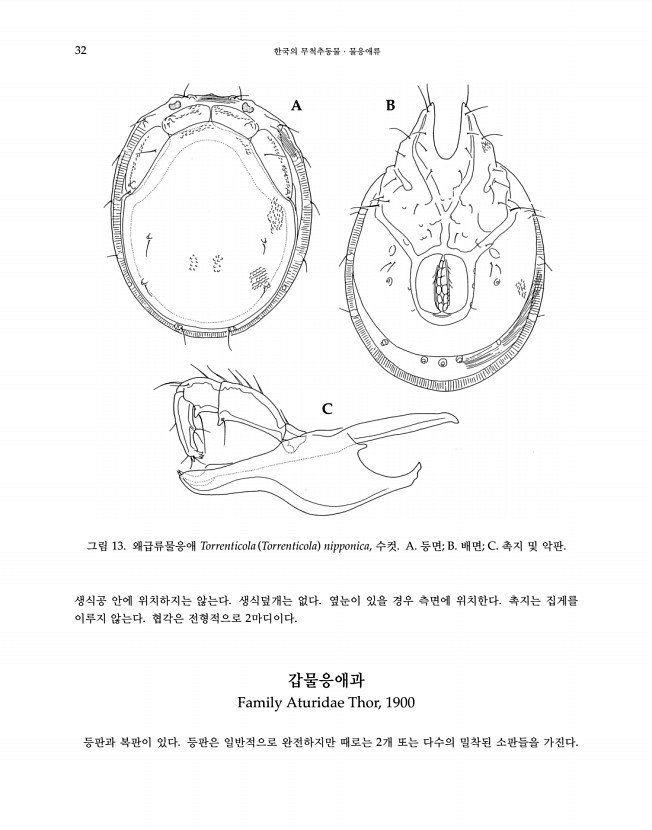 32페이지