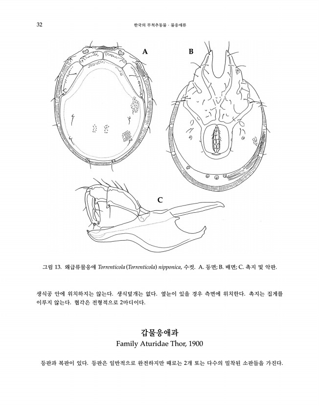 32페이지