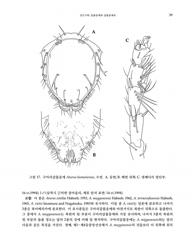 39페이지