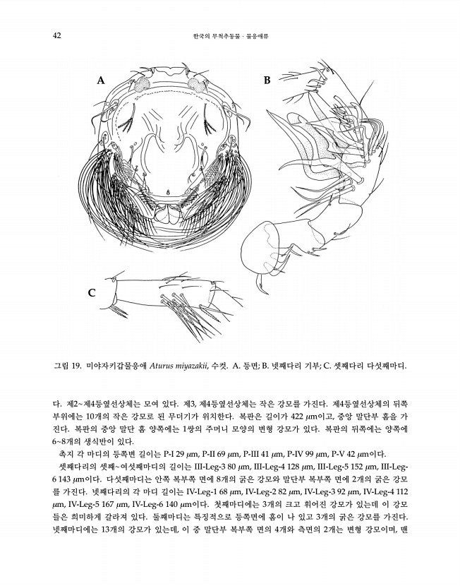 42페이지