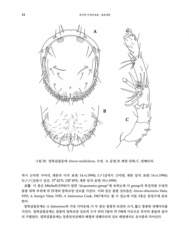 44페이지