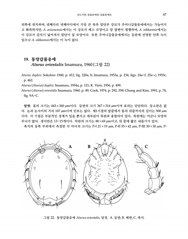 47페이지