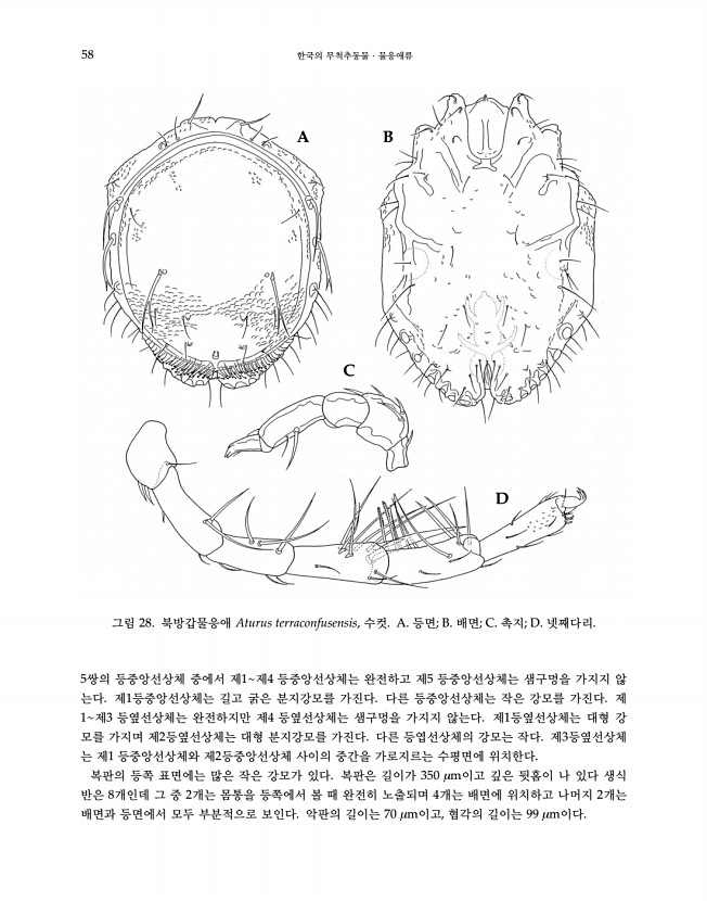 58페이지