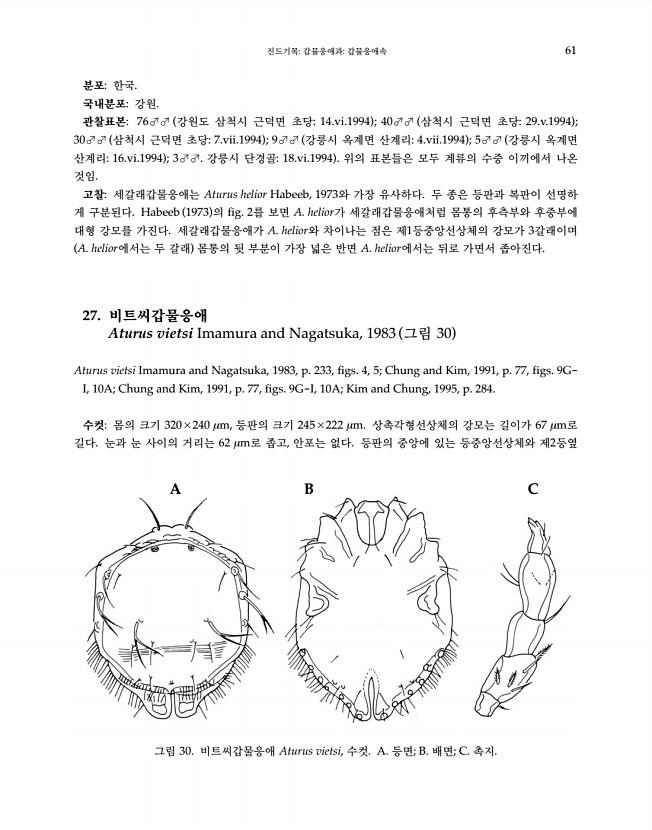 61페이지