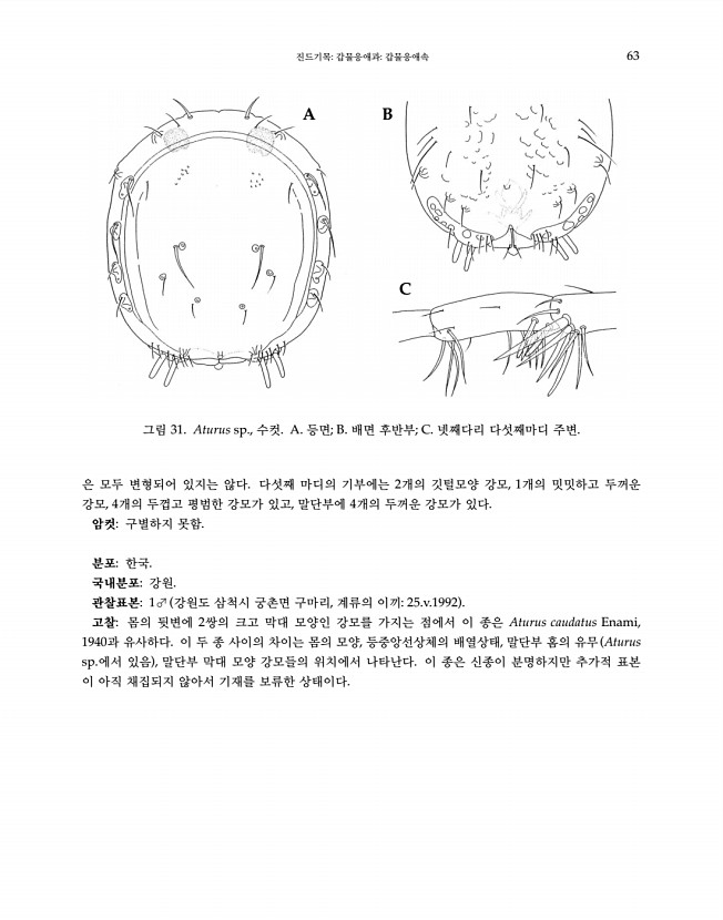 63페이지