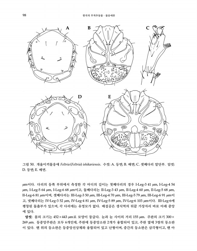 98페이지