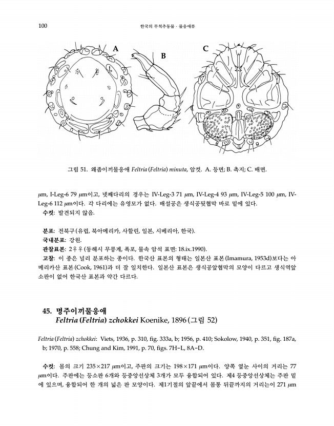 100페이지