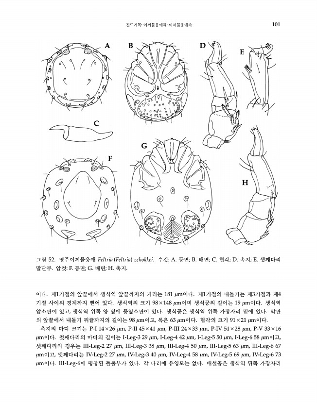 101페이지