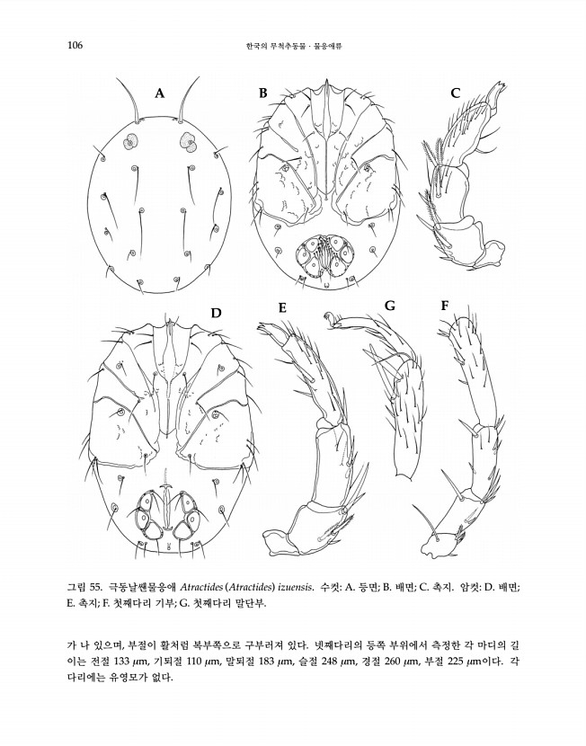 106페이지