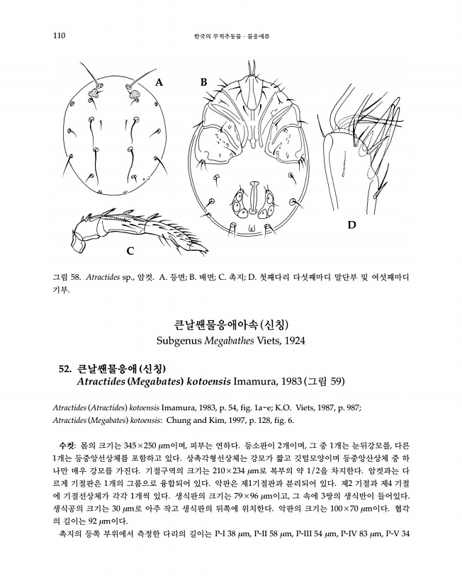 110페이지