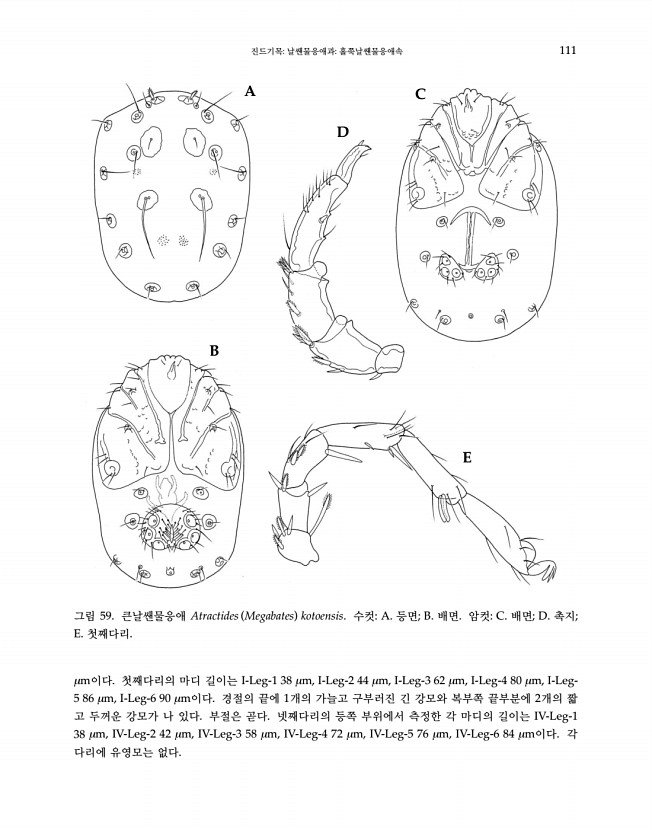 111페이지