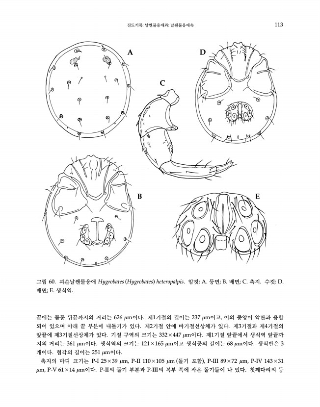 113페이지