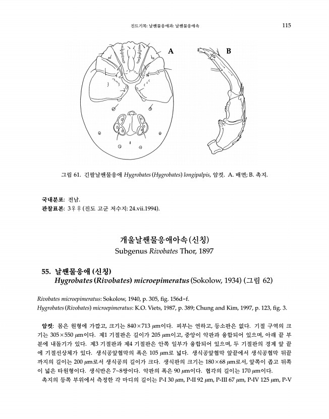 115페이지