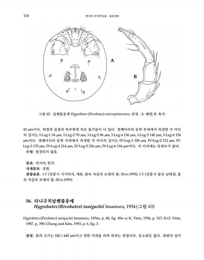 116페이지