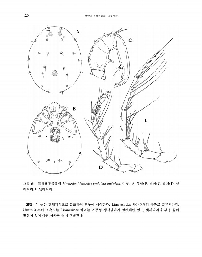 120페이지