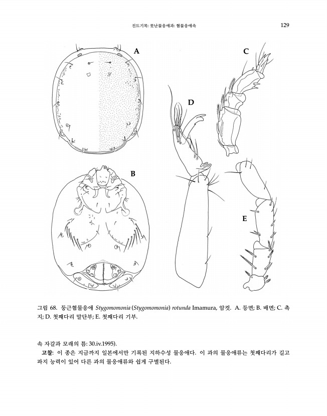 129페이지