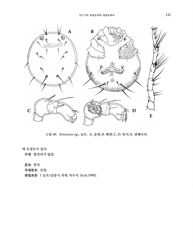 131페이지