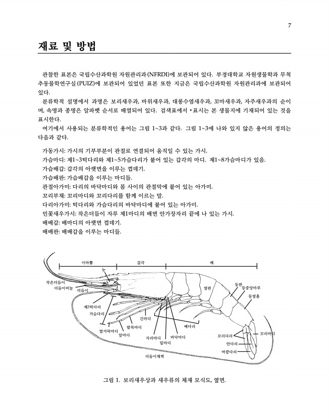 7페이지