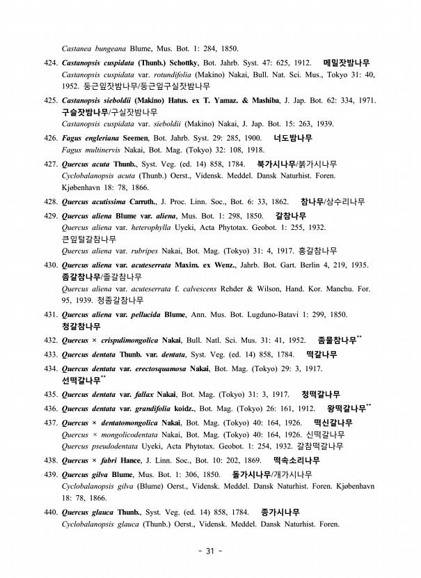 31페이지