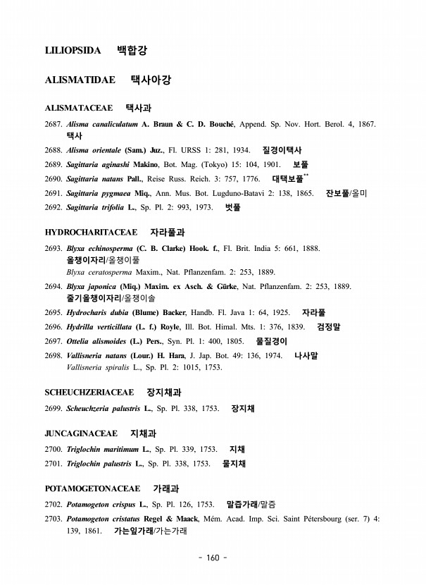 160페이지