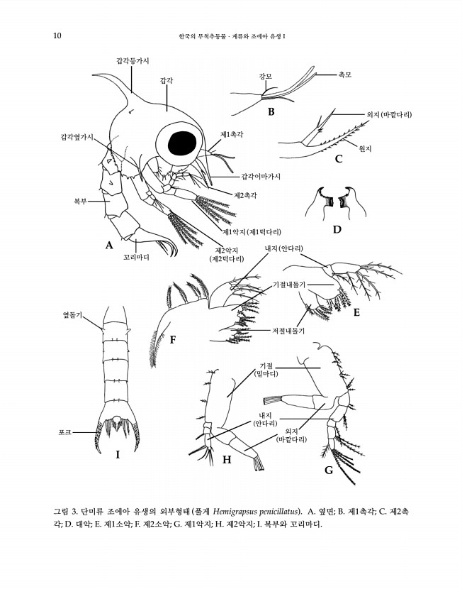 10페이지