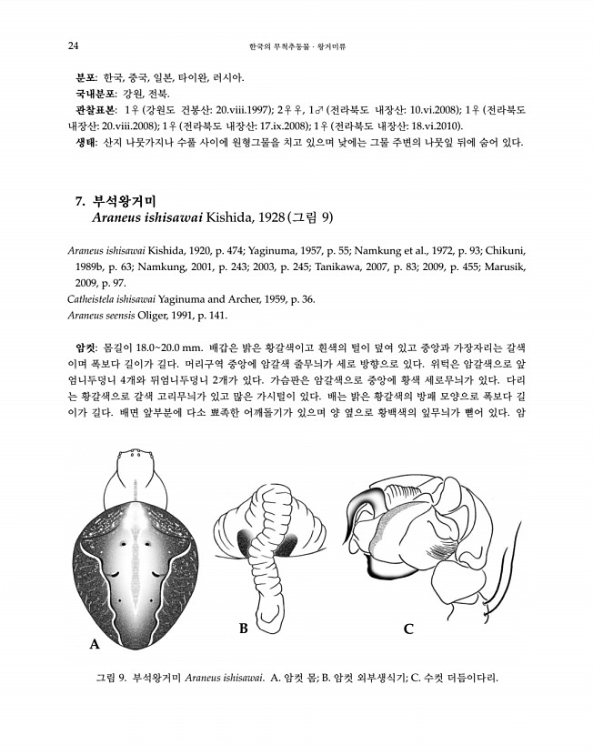 24페이지