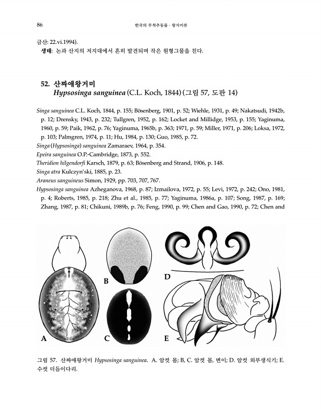 86페이지