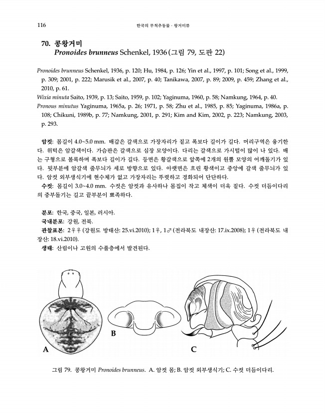 116페이지