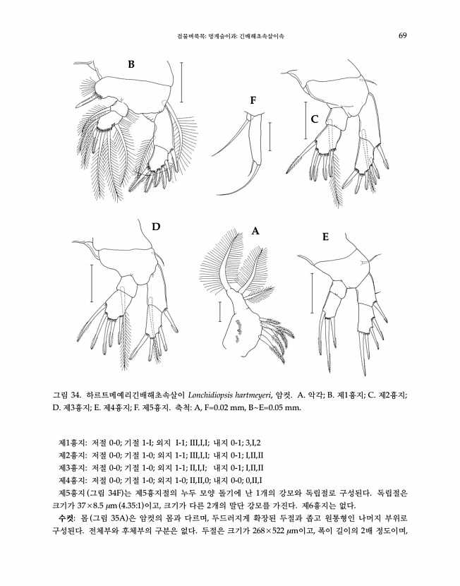 69페이지