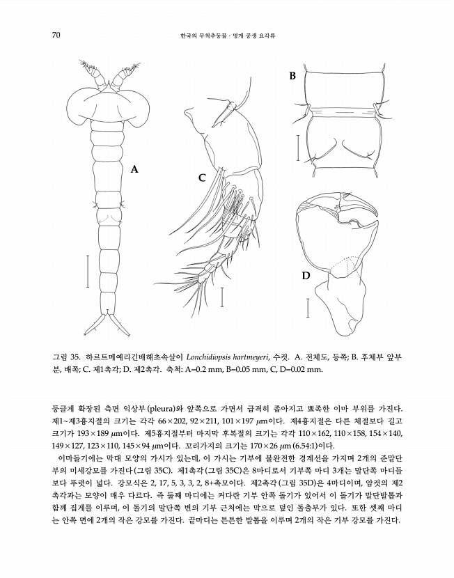 70페이지